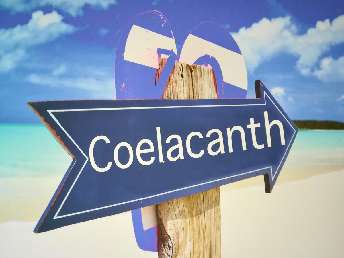 The Coelacanth Guest House And Beach Thyme Self Catering Kiddʼs Beach Exteriér fotografie