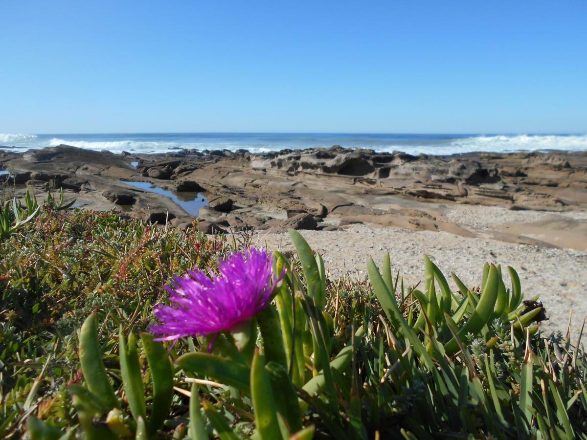 The Coelacanth Guest House And Beach Thyme Self Catering Kiddʼs Beach Exteriér fotografie